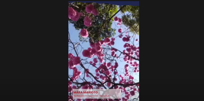 Mára Marioto, Aluna das Faculdades Trilógicas