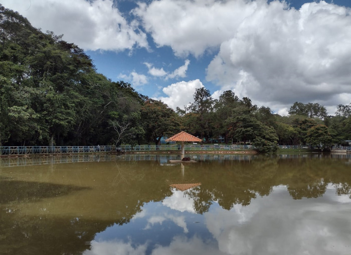 imersao-carnaval-2023-parque-lago